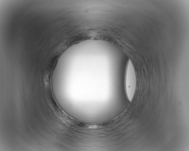 X0000076230611200609280949