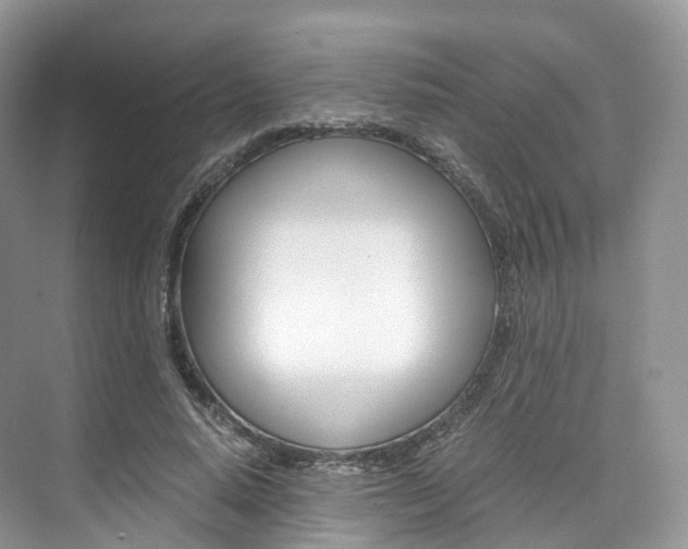 X0000076230640200609280948