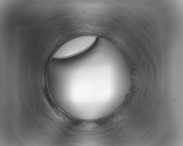 X0000076230642200609280948