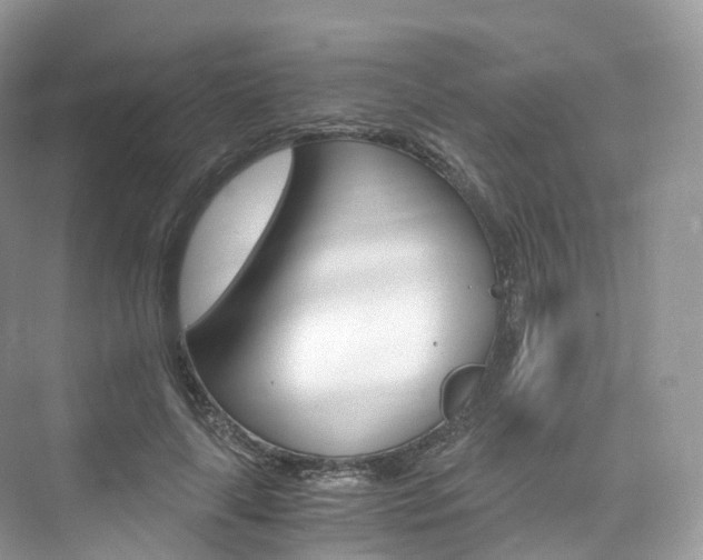 X0000076230643200609280948