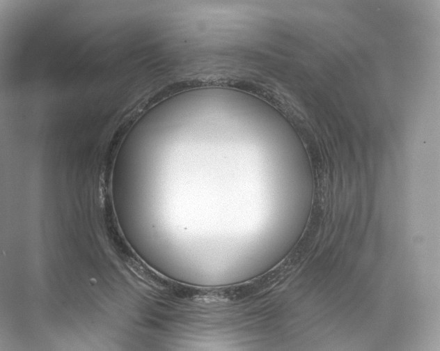 X0000076230644200609280948