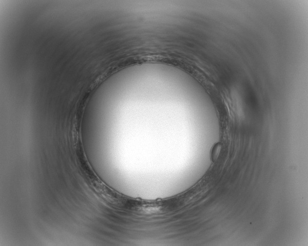 X0000076230651200609280948