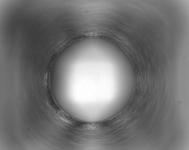 X0000076230652200609280948