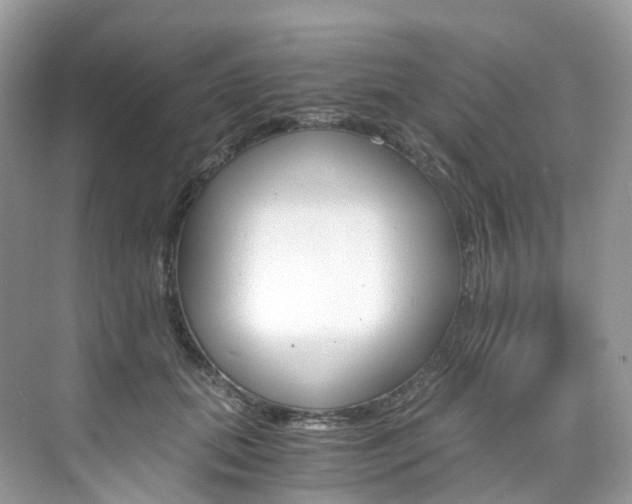 X0000076230655200609280948