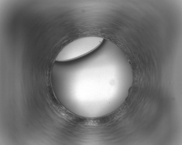 X0000076230656200609280948