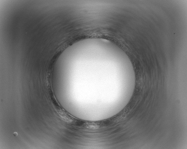 X0000076230658200609280948