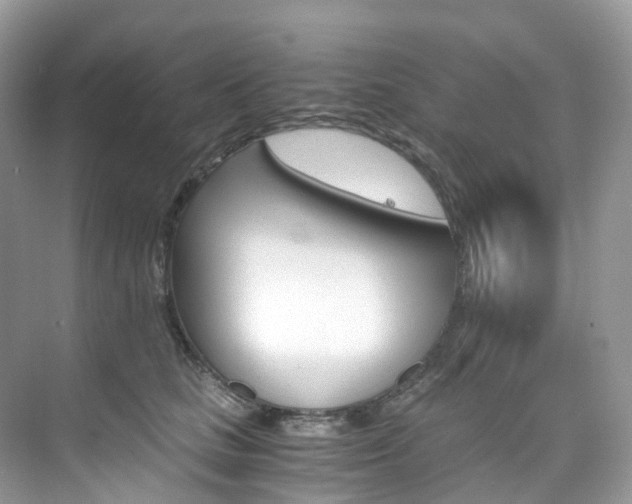 X0000076230661200609280949