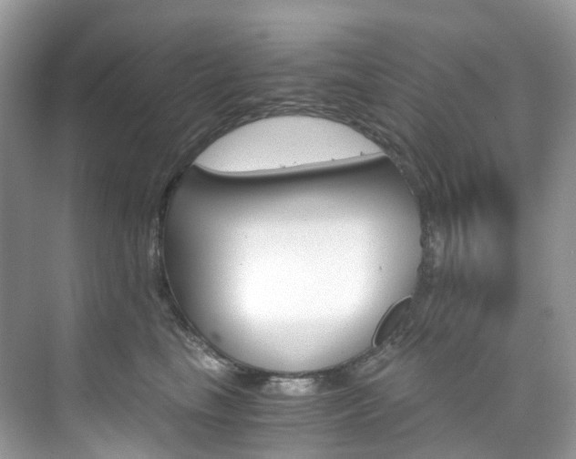 X0000076230665200609280949