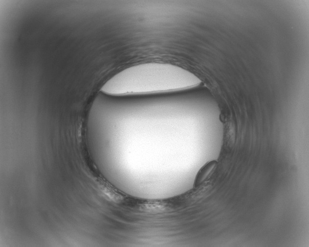 X0000076230668200609280949