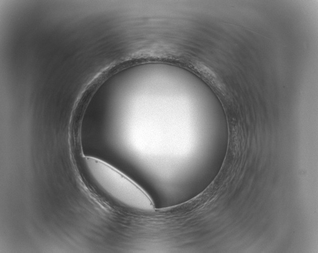 X0000076230680200609280948
