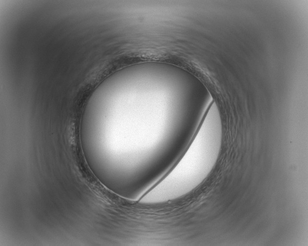 X0000076230689200609280948