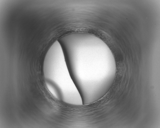 X0000076230695200609280948