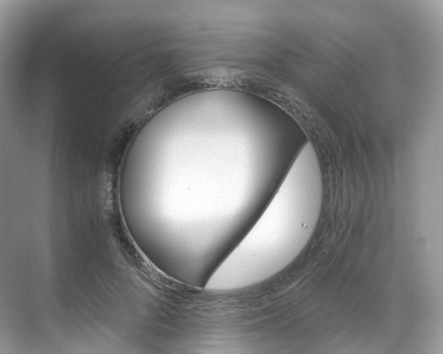 X0000076230696200609280947