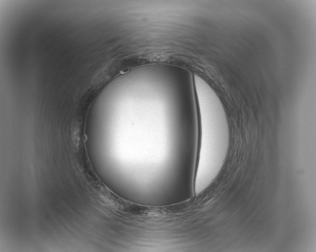 X0000076230697200609280947