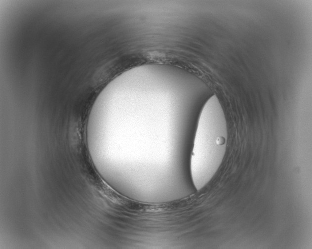 X0000076230702200609280947