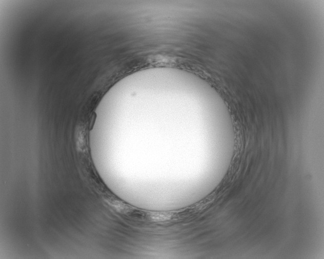 X0000076230709200609280947