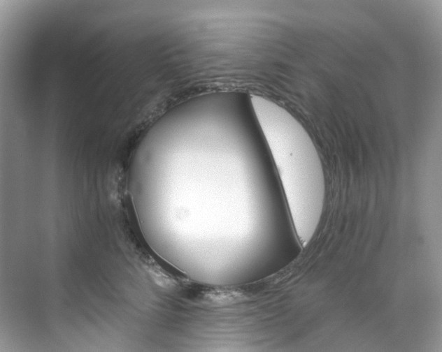 X0000076230712200609280947