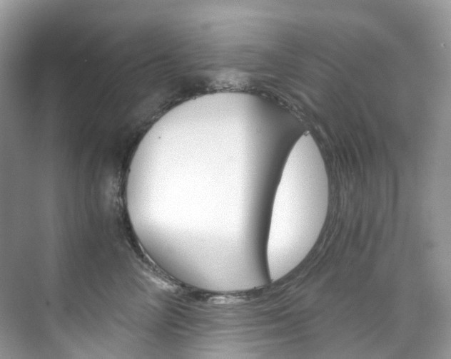 X0000076230714200609280947