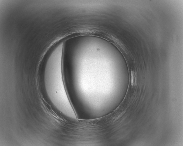 X0000076230723200609280946