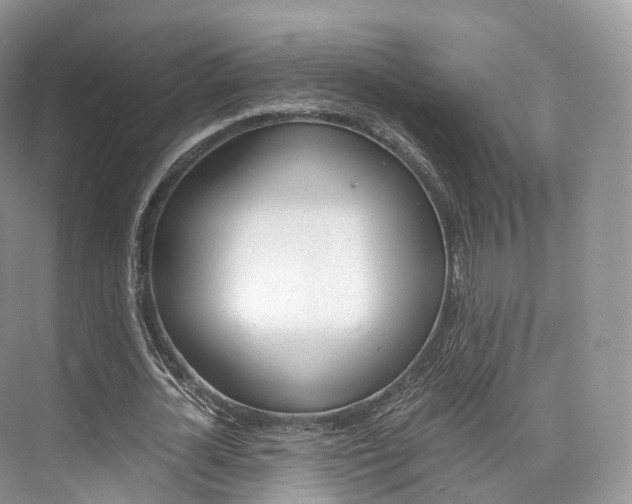 X0000076230724200609280946