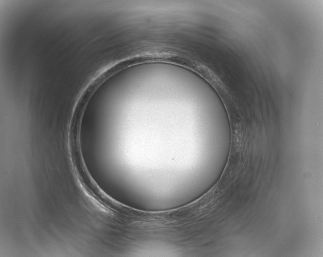 X0000076230726200609280946