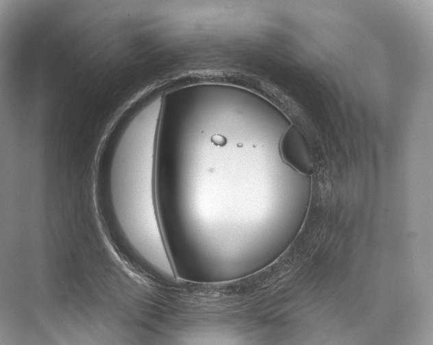 X0000076230728200609280946