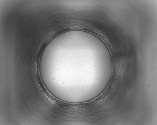 X0000076230729200609280946