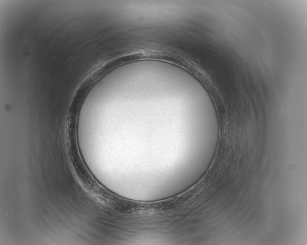 X0000076230730200609280946