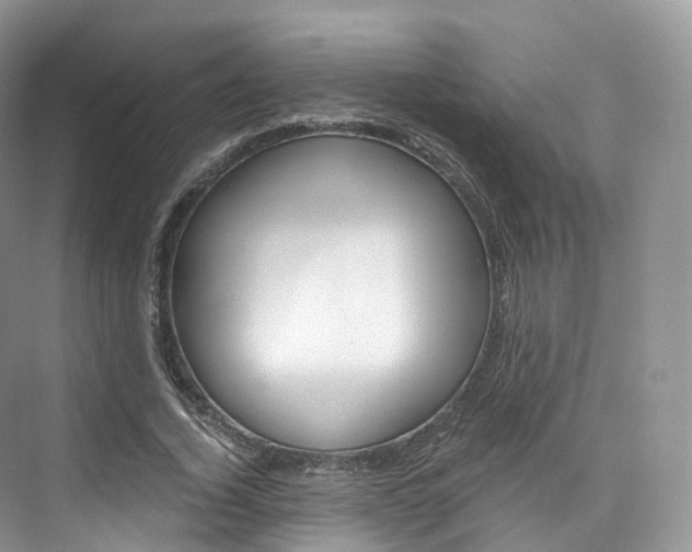 X0000076230732200609280946