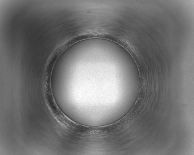 X0000076230736200609280947