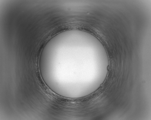 X0000076230737200609280947