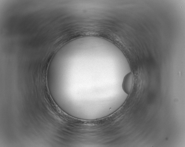 X0000076230741200609280947