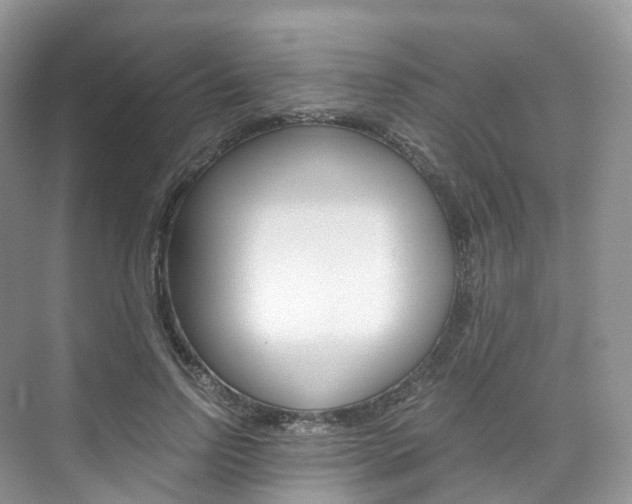 X0000076230742200609280947