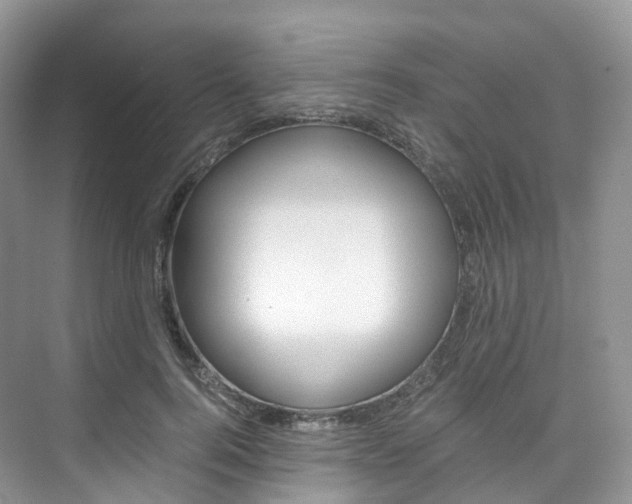 X0000076230744200609280947