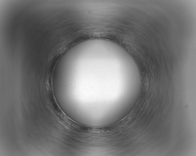 X0000076230746200609280947