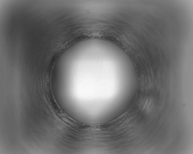 X0000076230747200609280947