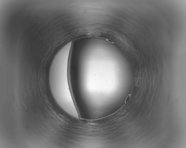 X0000076230748200609280947