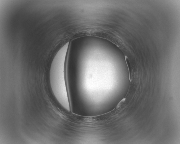 X0000076230750200609280947