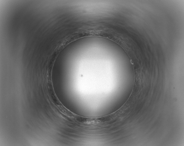 X0000076230752200609280947