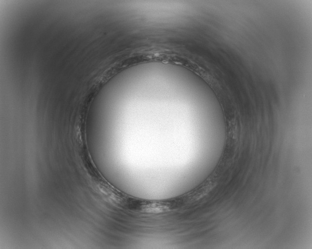 X0000076230754200609280947