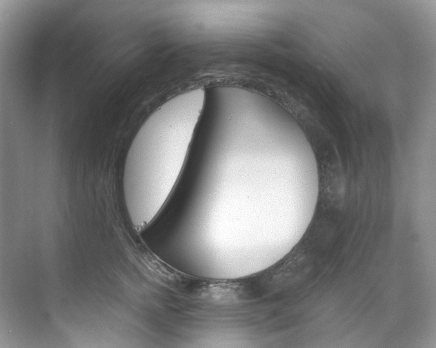 X0000076230758200609280947