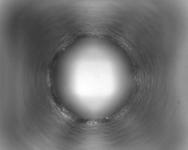X0000076230764200609280947