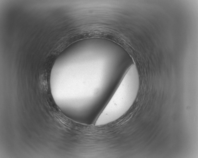 X0000076230771200609280946