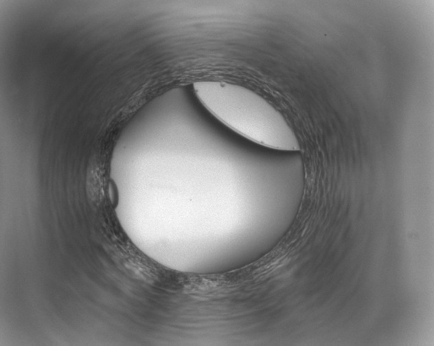 X0000076230772200609280946