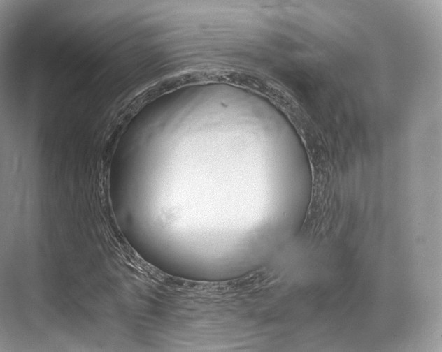 X0000076230773200609280946