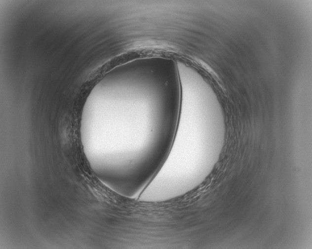 X0000076230775200609280946