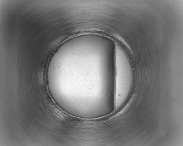 X0000076230777200609280946