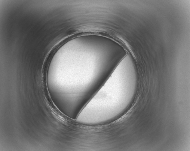 X0000076230779200609280946