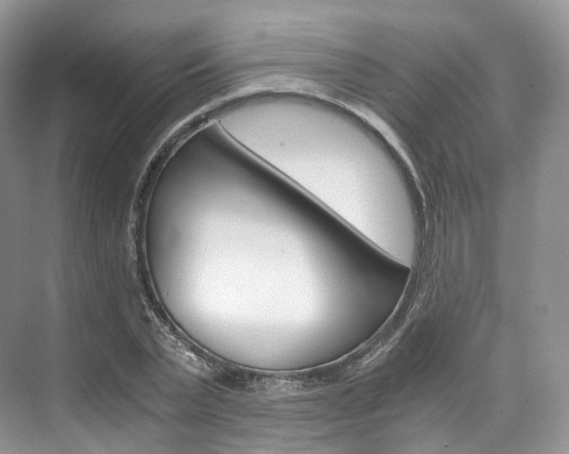 X0000076230783200609280946
