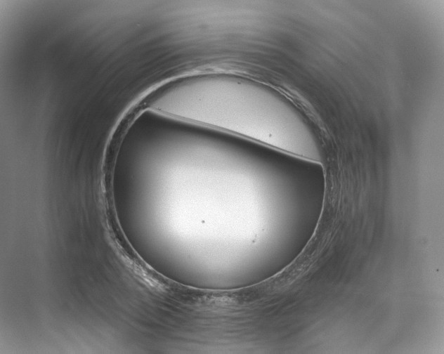 X0000076230784200609280946